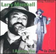 Larry Marshall / King Tubby/I Admire You In Dub