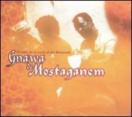 Ethnic / Traditional/Maghreb (North Africa) - Gnawafrom Mostaganem
