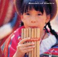 アンデスの響き | HMV&BOOKS online - KICW-8059