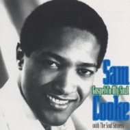 Gospel To My Soul : Sam Cooke | HMV&BOOKS online - PVCP-8157