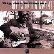 Big Joe Williams/Blues On Highway 49
