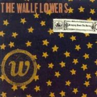 Wallflowers/Bringing Down The House