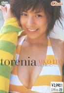 Torenia -�g���j�A