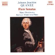ġ1697-1773/Flute Sonatats Oleskiewicz(Fl)schulenberg(P)vialvc)etc