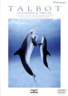 Talbot Dolphins&Orcas