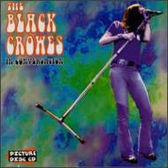 THE BLACK CROWES/Interview