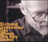 Richard Grossman/Where The Sky Ended