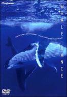 Whale Dance