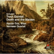 Piano Quintet: Vienna Haydn Trio, String Quartet.14: Vermeer.q
