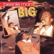 CDアルバム｜Beenie Man (ビーニ マン)｜商品一覧｜HMV&BOOKS online