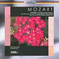 Overtures: Suitner / Skb