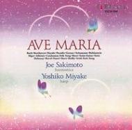Harmonica Classical/긵 Ave Maria