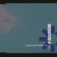 Love can't wait : DJ HASEBE | HMV&BOOKS online - WPC6-10153