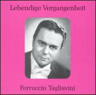 【中古】 Tagliavini Opera Arias / Ferruccio Tagliavini Ferruccio Tagliavini – Arias From The Opera – Vinyl (LP