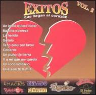 Various/Exitos Que Llegan Al Corazo Vol.2