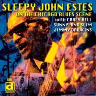 Sleepy John Estes/Blownsville Blues