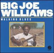 Big Joe Williams/Walking Blues