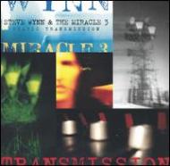 Steve Wynn/Static Transmission