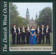 *brass＆wind Ensemble* Classical/Danish Wind Octet Krommer Beethoven Schubert