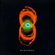 Binaural : Pearl Jam | HMV&BOOKS online - EK63665