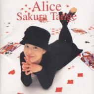 丹下桜 Alice 特典用 ポストカード キングレコード 非売品 当時モノ 希少　A4990