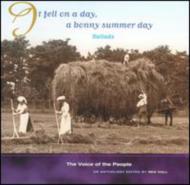 Various/Voice Of The People Vol.17 - It Feel On A Day A