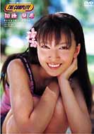 �t�W�e���r��vip Presents The Complete�����Ċ�