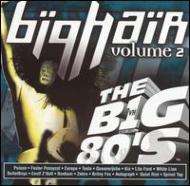 Various/Vh1 - Big 80s  Big Hair Vol.2