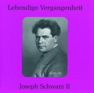 Joseph Schwartz(Br)Arias Vol.2