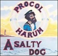 Salty Dog : Procol Harum | HMV&BOOKS online - VICP-61311