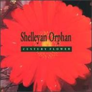 Shelleyan Orphan/Century Flower