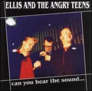 Ellis ＆ Angry Teens/Can You Hear The Sound