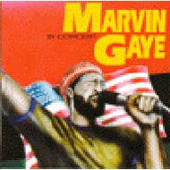 CDアルバム｜Marvin Gaye (マーヴィン・ゲイ)｜商品一覧｜HMV&BOOKS online