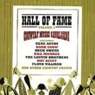 Various/Hall Of Fame Vol.1