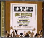 Various/Hall Of Fame Vol.6