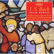 Organ Works Vol.12: Bowyer