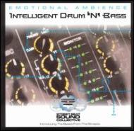 Beats From The Street -Intelligent Drum N Bass