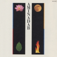 AMINADAB �������z�`�����������