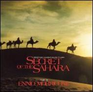 Secret Of The Sahara