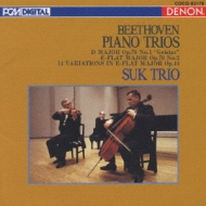 Piano Trios.5, 6: Suk Trio