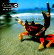 Fat Of The Land (2枚組アナログレコード) : The Prodigy | HMV&BOOKS 