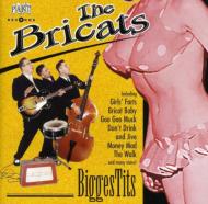 Bricats/Biggestits