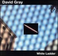 David Gray/White Ladder