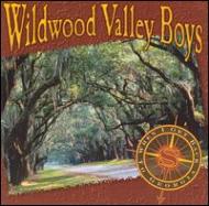 Wildwood Valley Boys/When I Get Back To Georgia