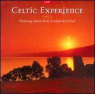 Celtic Experience Vol.3
