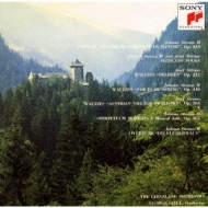 R.シュトラウス STRAUSS 24 - KhodaaBloom