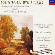 Vaughan Williams:Orchestral Works