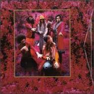 CAPTAIN BEEFHEART 「GROW FINS」5CD 日本流通盤 CAPTAIN BEEFHEART 「GROW FINS」5CD 日本流通盤 Amazon.co.jp