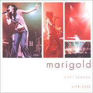 Live Tour `02 Marigold