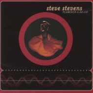 中古DVD-Audio】スティーヴ・スティーヴンス「フラメンコ・ア